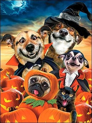 Smile...It's Halloween! Halloween Card - Shelburne Country Store