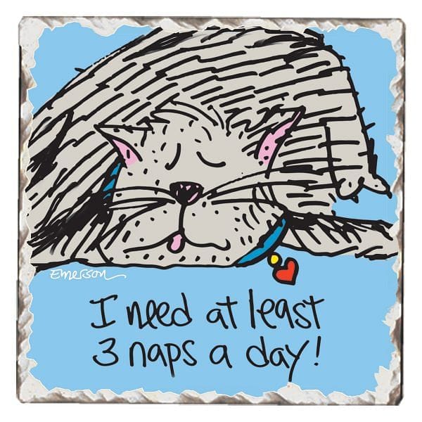 Love Cats Stone Coaster - I need at least 3 naps a day! - Shelburne Country Store