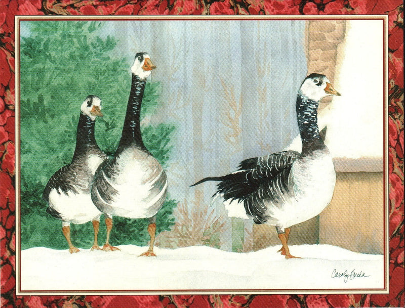 Christmas Card - Geese - Shelburne Country Store