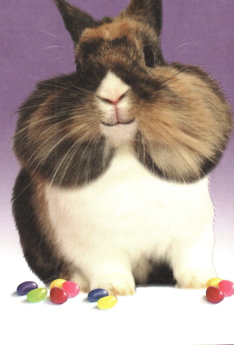 Rabbit With Jelly Beans In Cheeks Easter Card - Shelburne Country Store