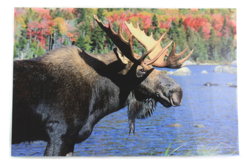 Moose / Loon Vermont Placemat - Shelburne Country Store