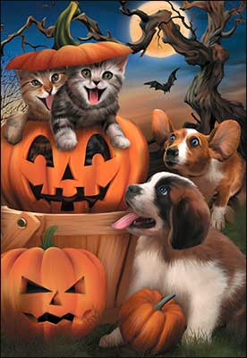 Pawsitively Spooky Halloween Card - Shelburne Country Store