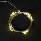 USB 25 LED (8 foot) Starry Lights -  Warm White - Shelburne Country Store