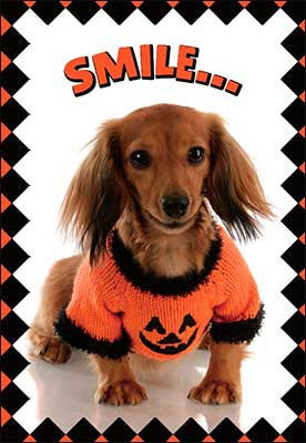 SMILE Halloween Card - Shelburne Country Store