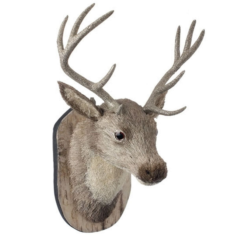 Mounted Deer Head - Shelburne Country Store