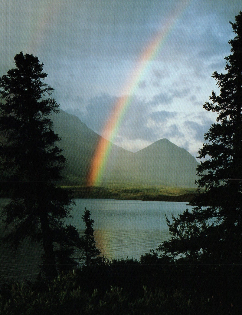Rainbow over Lake Blank Card - Shelburne Country Store