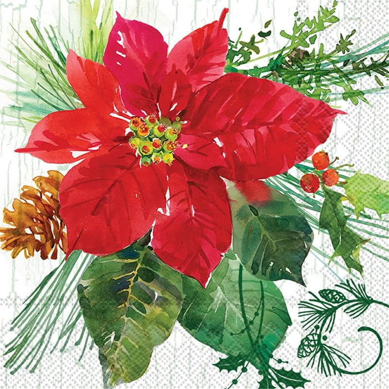 Poinsettia Crackle Cocktail Napkin - Shelburne Country Store