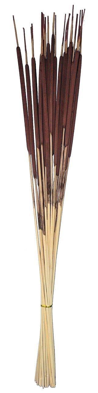 26 inch Pencil Cattail - Shelburne Country Store