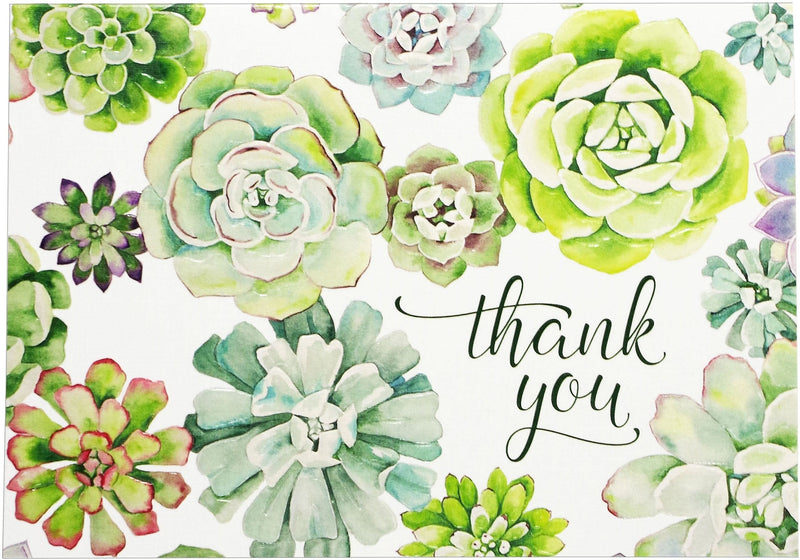 Boxed Thank You Notes: Succulent Garden - Shelburne Country Store