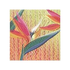 Bird of Paradise Blank Card - Shelburne Country Store