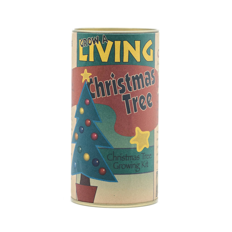 Living Christmas Tree | Seed Grow Kit - Balsam Fir - Shelburne Country Store