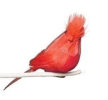 4 Inch Red Feather Clip on Cardinal - Shelburne Country Store