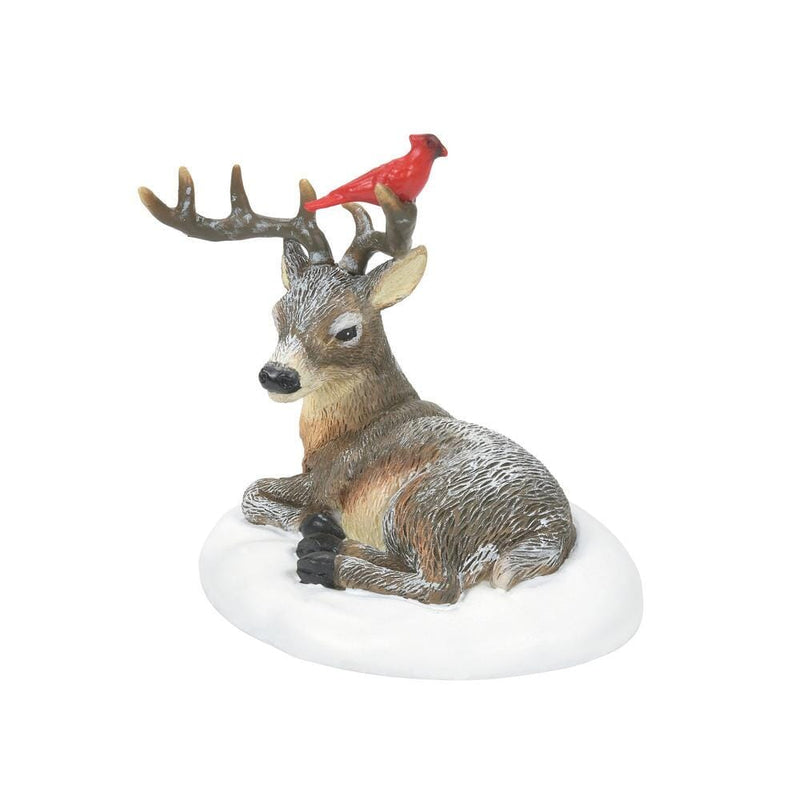 Cardinal Christmas Deer - Shelburne Country Store