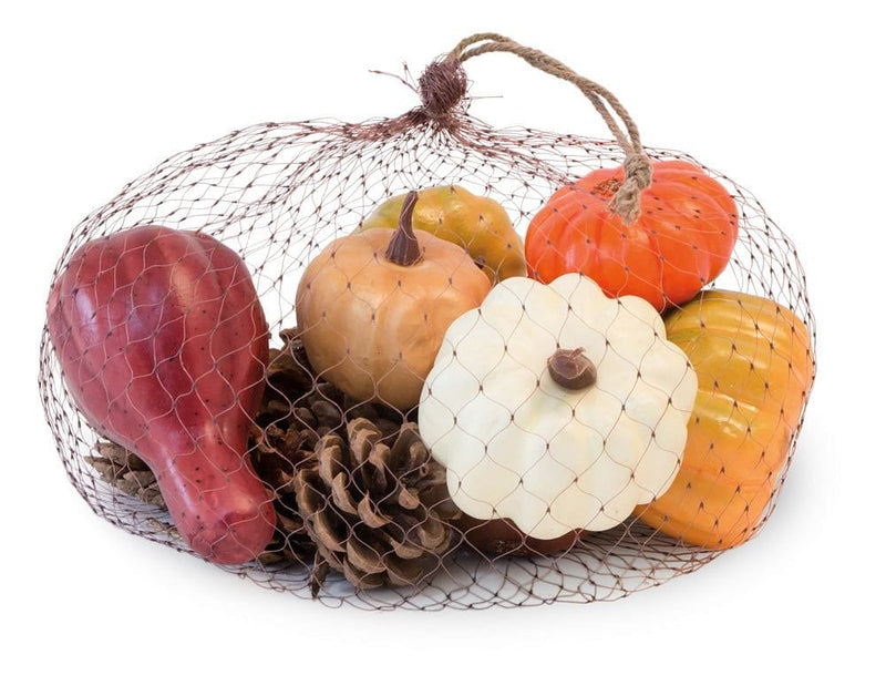 Fall Gourd Collection - Shelburne Country Store