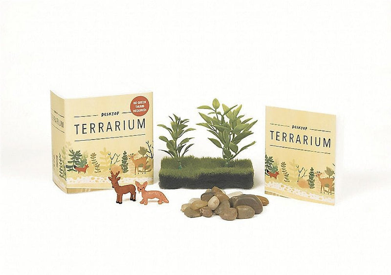 Desktop Terrarium Mini Kit - Shelburne Country Store
