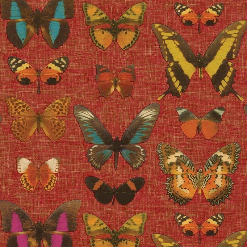 Deyrolle Butterflies-Red Gift Wrap - Shelburne Country Store