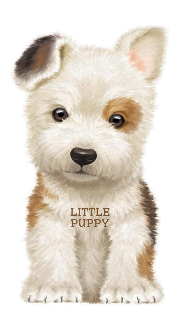 Look At Me Little Puppy Board Book - Shelburne Country Store