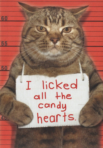 I Licked all the Candy Hearts - Shelburne Country Store