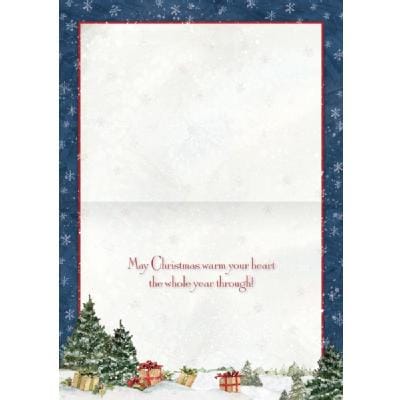 Snowy Delivery Petite Boxed Cards - Shelburne Country Store