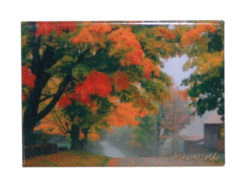 Enameled Metal 2x3 Magnet - Autumn in Vermont - Shelburne Country Store