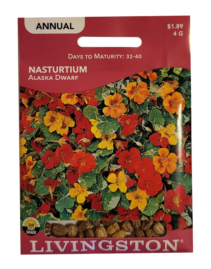 Seed Packet - Nasturtium - Alaska Dwarf - Shelburne Country Store