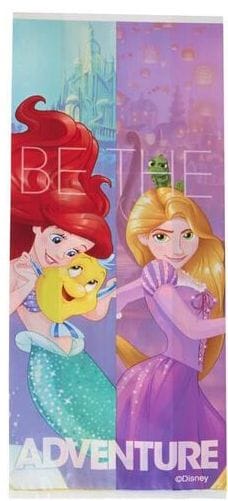Disney Princess Treat Bags - - Shelburne Country Store