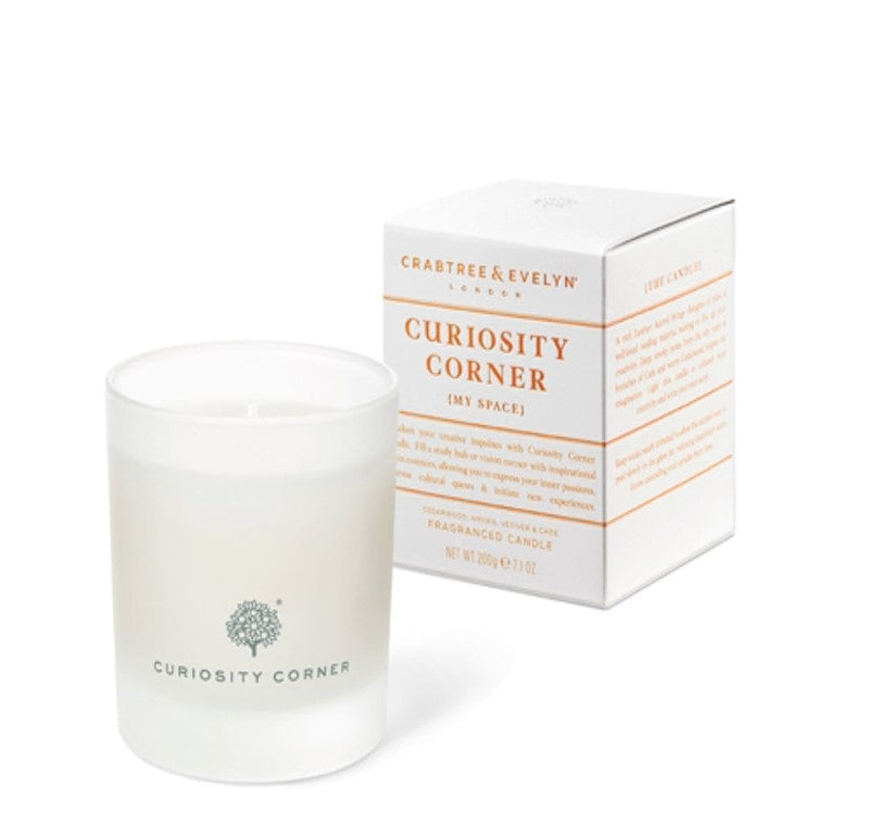 Curiosity Corner Candle - The Country Christmas Loft