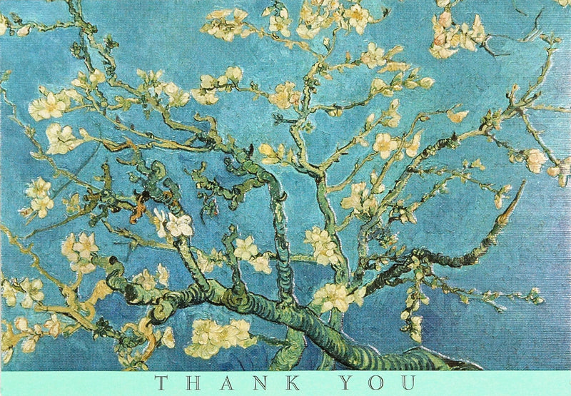Almond Blossom Thank You Note Cards - Shelburne Country Store