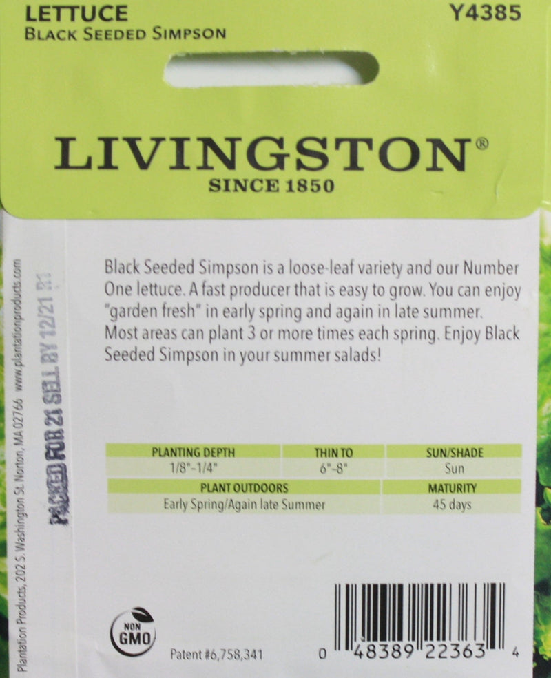 Seed Packet - Lettuce - Black Seeded Simpson - Shelburne Country Store