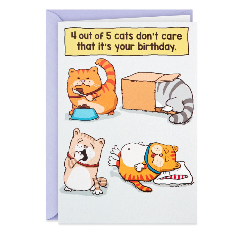 Cats Don't Care Funny Birthday Card - Shelburne Country Store