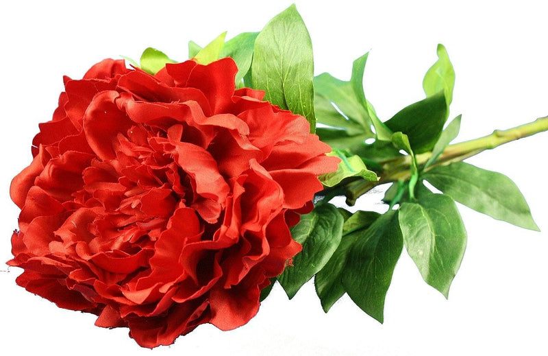 Everyday Longstem Satin Peony - Red - 35 Inch - Shelburne Country Store