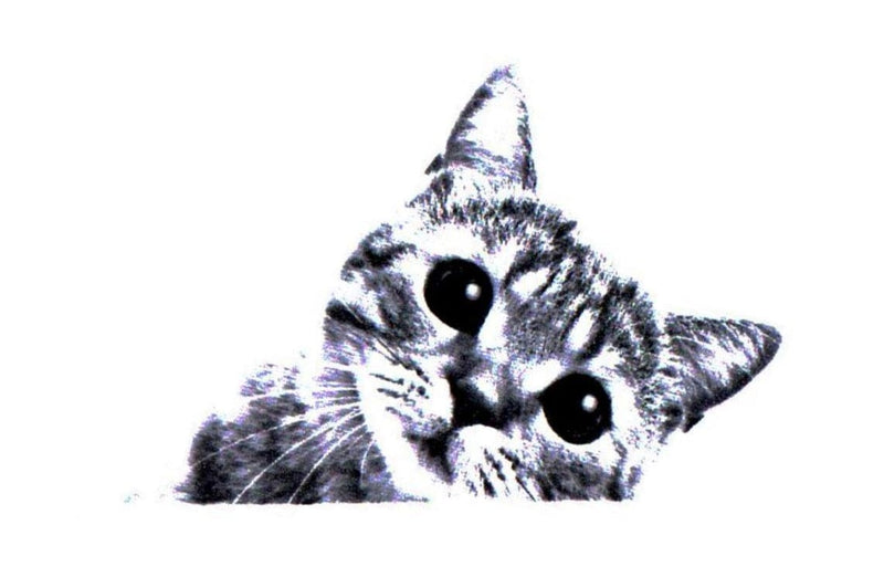 Peeking Cat Sticker - Shelburne Country Store