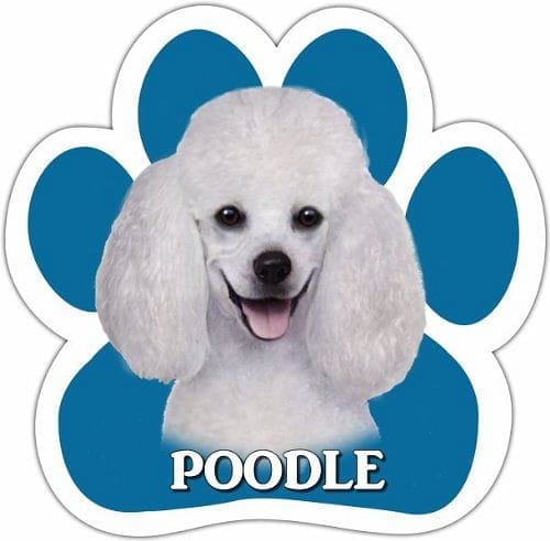 Poodle Car Magnet With Unique Paw Shaped Design - Shelburne Country Store